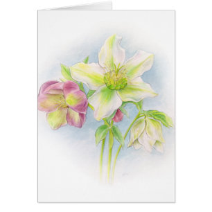 Hellebore floral tarjeta de nota verde rosa blanca