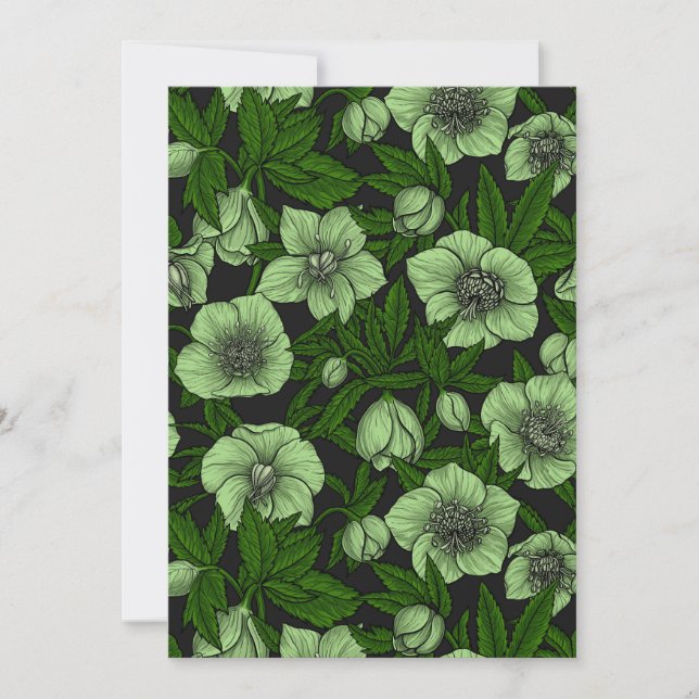 Hellebores blancos con hojas (Anverso)