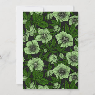 Hellebores blancos con hojas