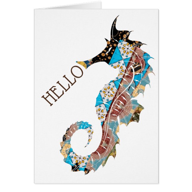 Hello Seahorse (Frente)
