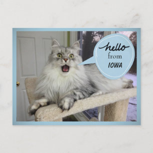 "Hellooo" de la tarjeta postal estatal de su gato