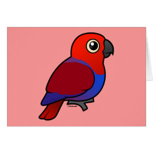 Hembra del loro de Eclectus