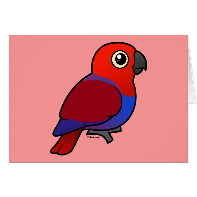 Hembra del loro de Eclectus (Anverso (Horizontal))