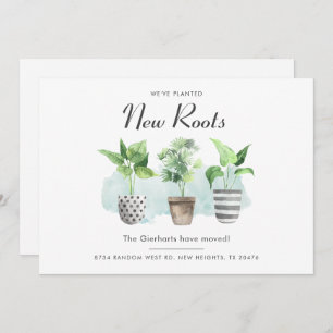 Hemos movido a Boho a la Invitación en movimiento