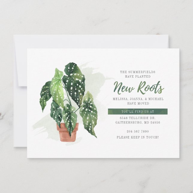 Hemos movido las acuarelas plantadas nuevas raíces (Anverso)