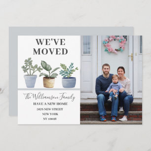 Hemos movido plantas potentadas con Invitación azu