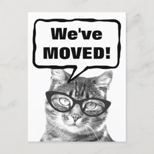 Hemos movido postales con gatitos graciosos