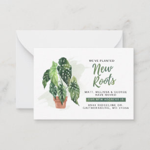 Hemos plantado nuevas raíces de Invitación en movi