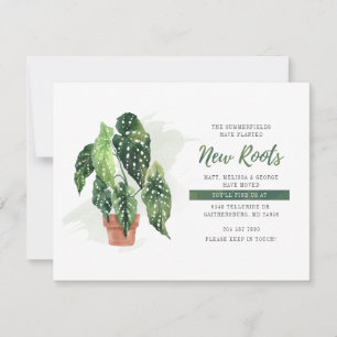 Hemos trasladado la Invitación de nuevas raíces de