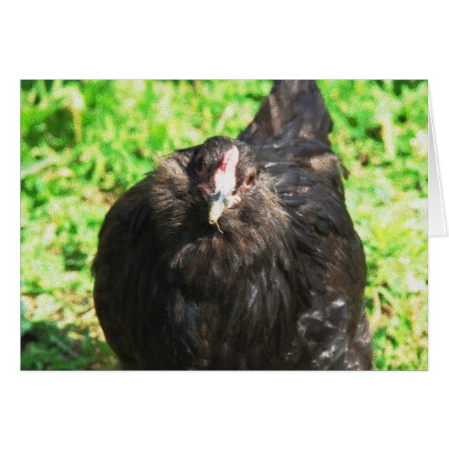 Hen negro (Anverso (Horizontal))