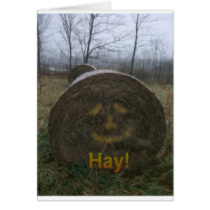 ¡Heno!