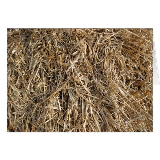 ¡Heno! ¡Heno! 2 (Anverso (Horizontal))