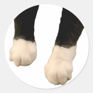 Henri Pegatina - ¡Pies!