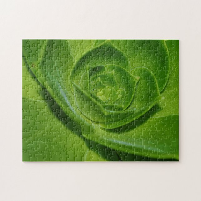 Hens and Chicks Suculento Cactus Green Puzzle (Horizontal)