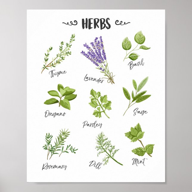 Herb print Herbs art Kitchen art Decoración de la  (Frente)