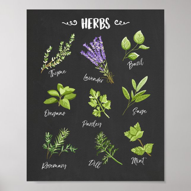 Herb print Herbs art Kitchen art Decoración de la  (Frente)