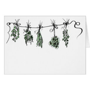 Herbs de jardín