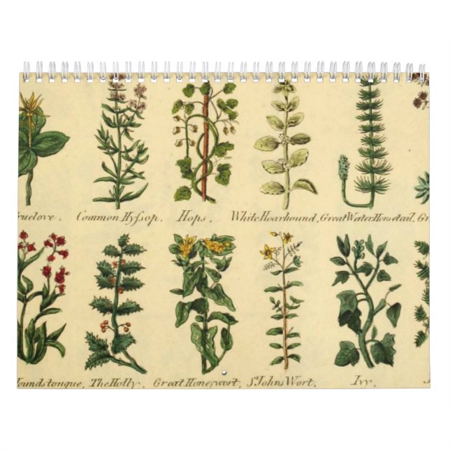 HERBS Y BOTANICALES, Calendario Vintage medieval (Tapa)