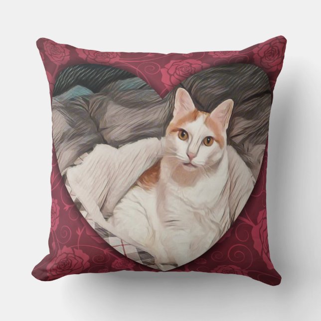 Herecules la almohada del gato (Anverso)