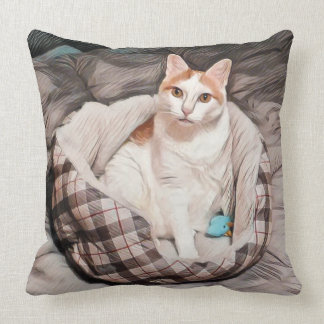 Herecules la almohada del gato