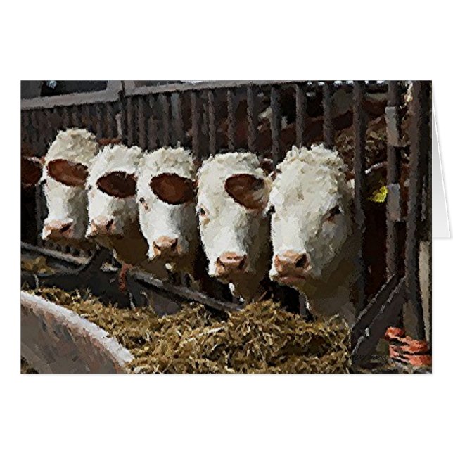 Hereford Cattle (Anverso (Horizontal))