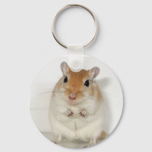 Herman el llavero del Gerbil