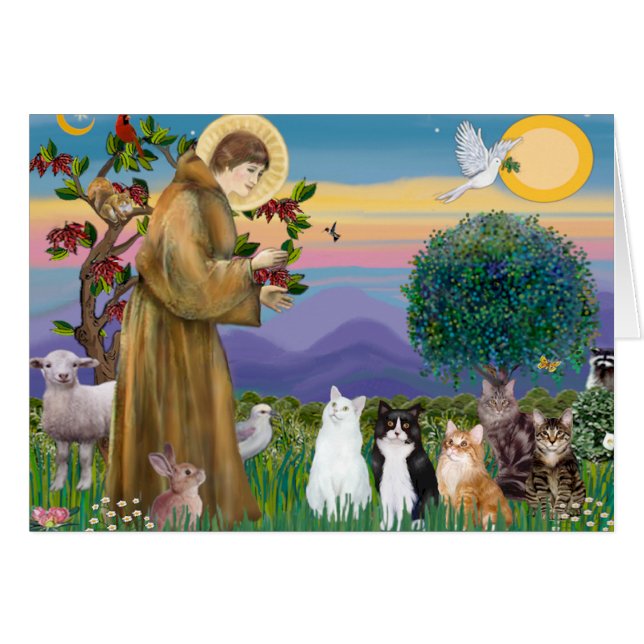 Hermana Frances bendiciendo 5 gatos (Anverso (Horizontal))