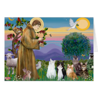 Hermana Frances Blessing 5 gatos