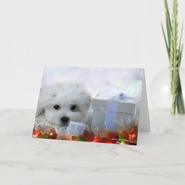 Hermes la tarjeta de felicitación maltesa del (Anverso)