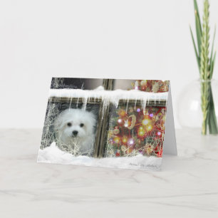 Hermes la tarjeta de Navidad maltesa