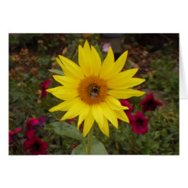 Hermosa abeja en foto de girasol amarillo