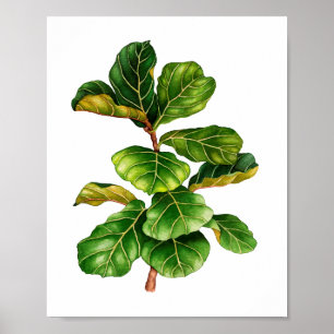 Hermosa acuarela Fig planta poster de impresión de