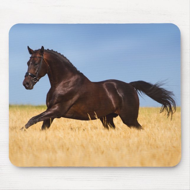 Hermosa alfombra de ratón de caballo (Frente)