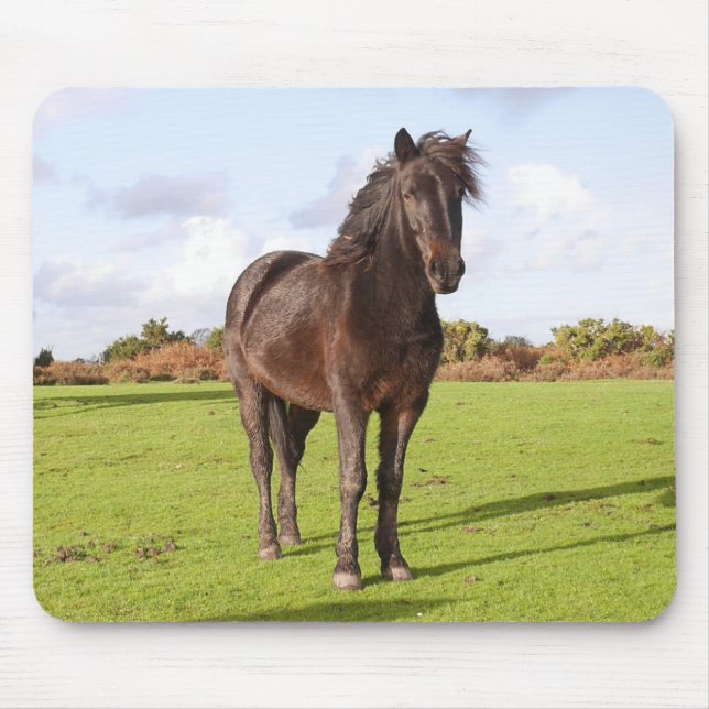 Hermosa alfombra de ratón de caballo (Frente)