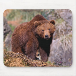 Hermosa Alfombrilla de Ratón de Oso Marrón