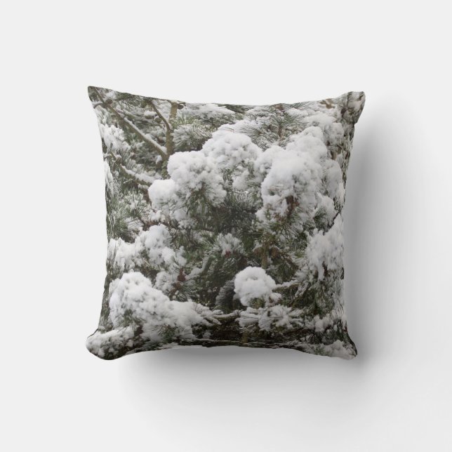 ¡Hermosa almohada con elementos de invierno! (Anverso)