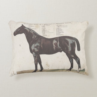 Hermosa almohada de caballo vintage