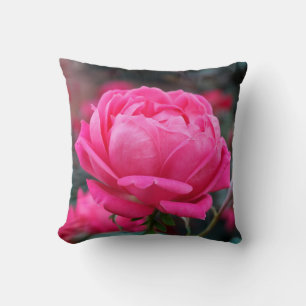 Hermosa almohada de flor de rosa rosa