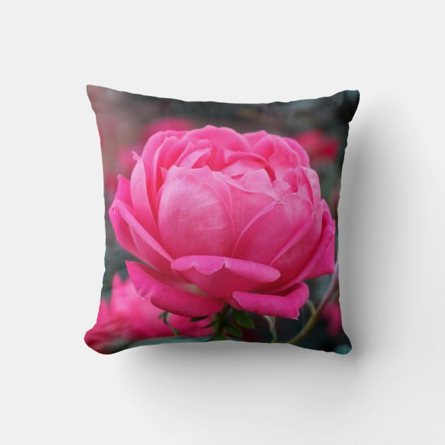 Hermosa almohada de flor de rosa rosa (Anverso)