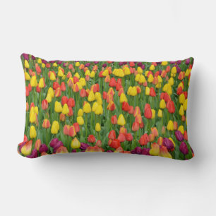 Hermosa almohada de jardín tulipán de primavera