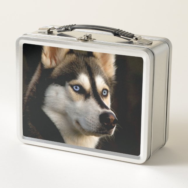 Hermosa almohada de lanzamiento Husky (Anverso)