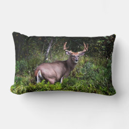 Hermosa almohada de lumbar de buck blanco