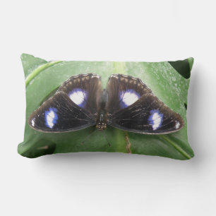 Hermosa almohada de mariposa con manchas azules