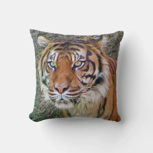 ¡Hermosa almohada tigre!