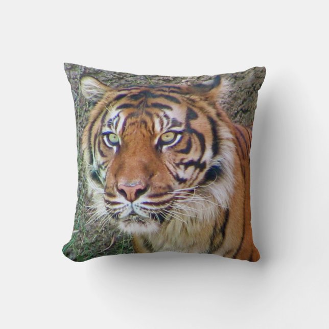 ¡Hermosa almohada tigre! (Anverso)