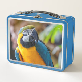 Hermosa ave dorada de loro azul