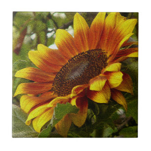 Hermosa baldosa de cerámica de girasol amarillo y