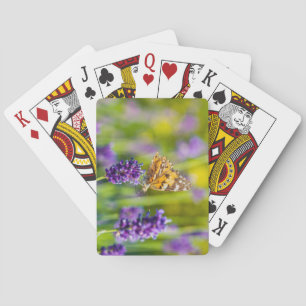 Hermosa Baraja de Cartas de Mariposas para Aliment