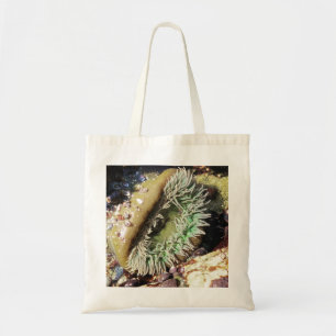 Hermosa bolsa de arena oceánica de mar