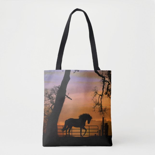 Hermosa Bolsa de Caballos (Anverso)